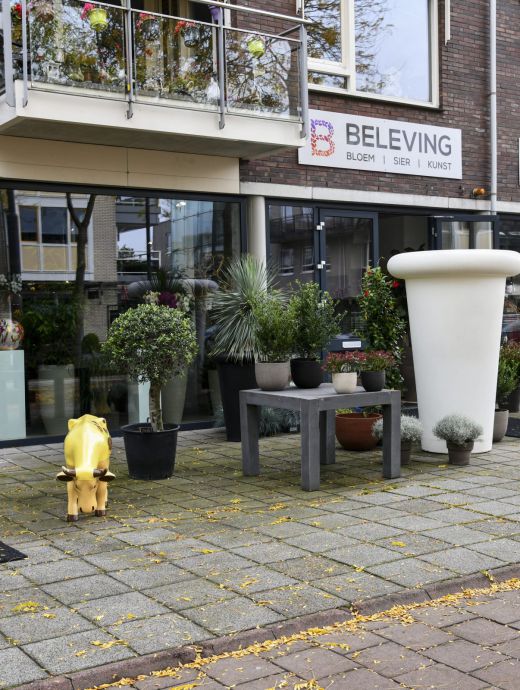 Beleving bloem winkelcentrum Soest-zuid