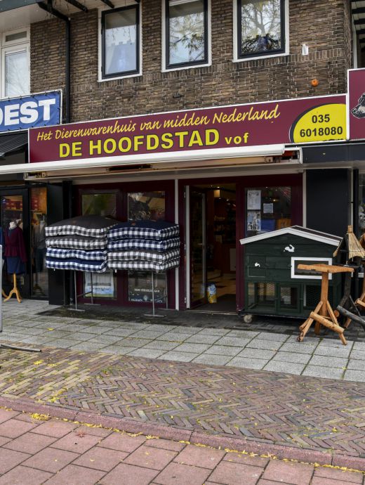 De hoofdstad winkelcentrum Soest-zuid